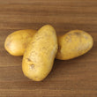 Batata branca/ White potato
