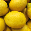 Limão/ Lemon